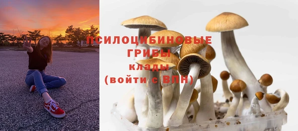 ГАЛЛЮЦИНОГЕННЫЕ ГРИБЫ Иннополис