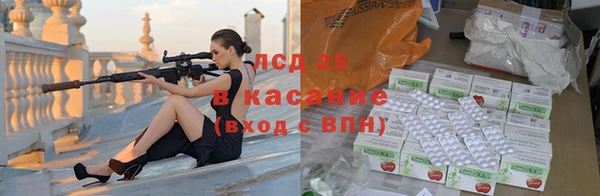 амф Инта