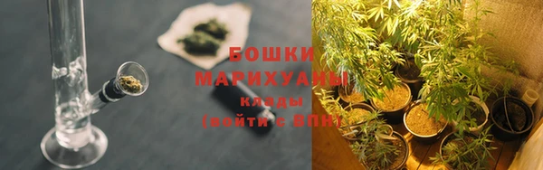 амф Инта