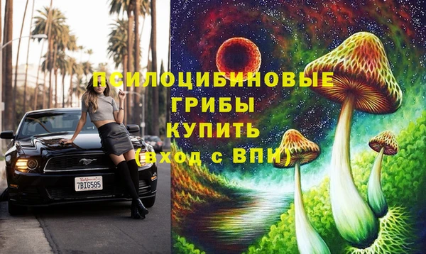 амф Инта