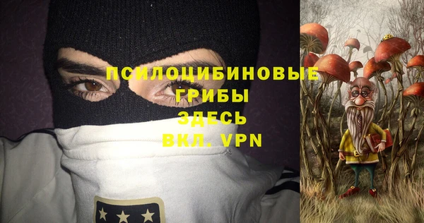 ГАЛЛЮЦИНОГЕННЫЕ ГРИБЫ Иннополис