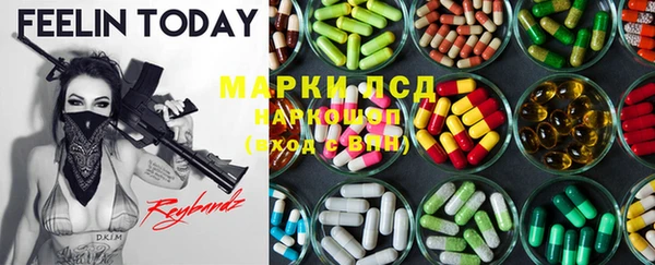 амф Инта