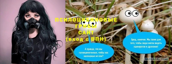 дживик Инсар