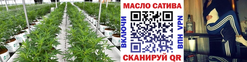 Купить закладки  Дрезна  ТГК жижа 