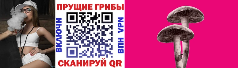 Купить где  Дрезна  Галлюциногенные грибы MAGIC MUSHROOMS 